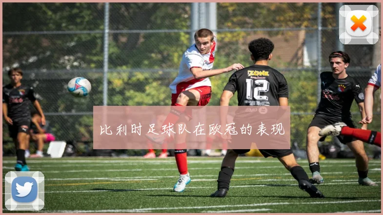 比利时足球队在欧冠的表现