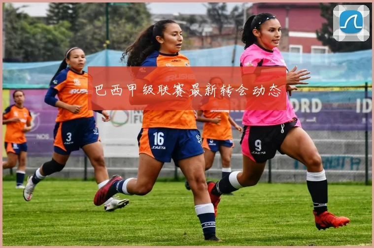 巴西甲级联赛最新转会动态